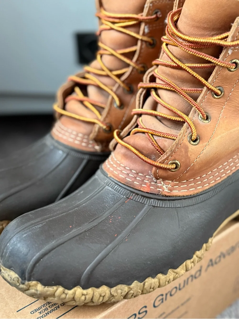 L.L. Bean bean lace